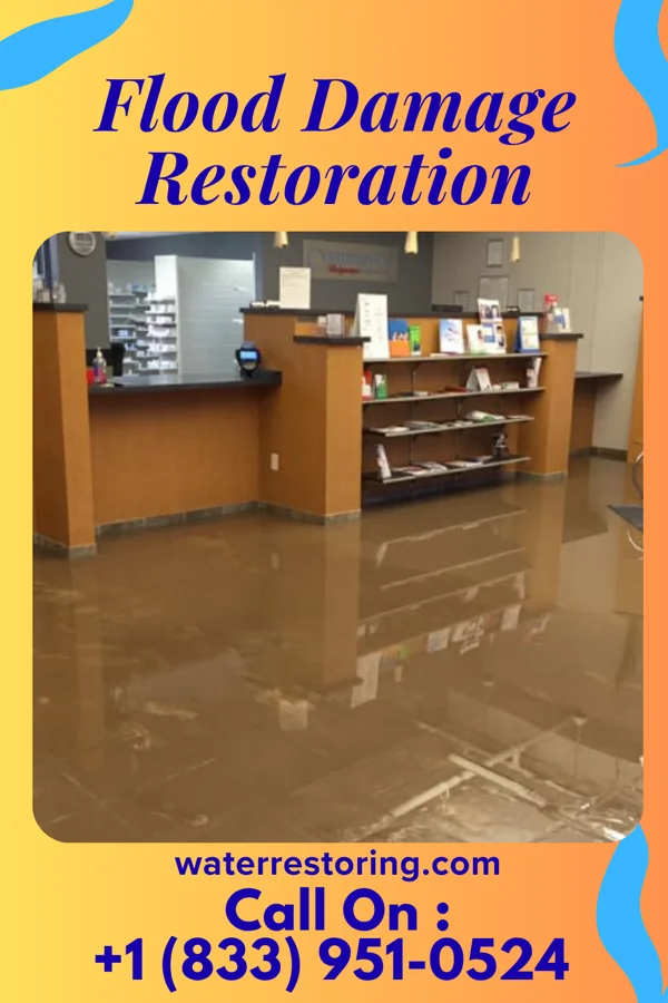 Flood Damage Restoration in Lake Park, GA