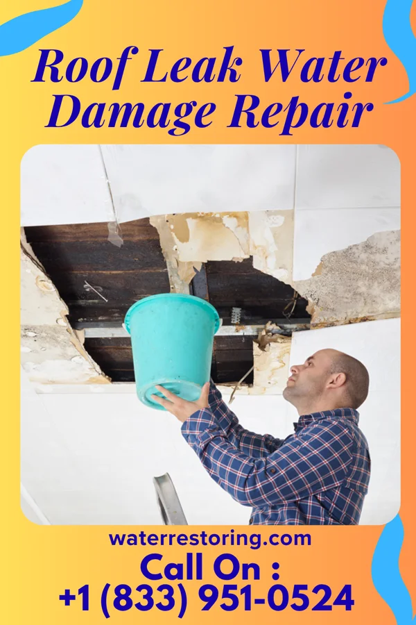 Roof Leak Water Damage Repair in Lake Park, GA