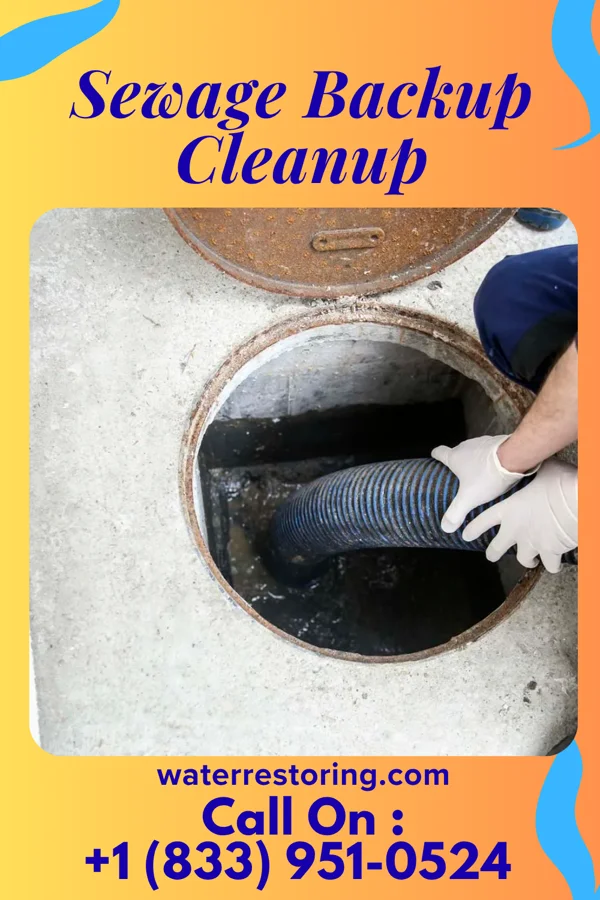 Sewage Backup Cleanup in Lake Park, GA
